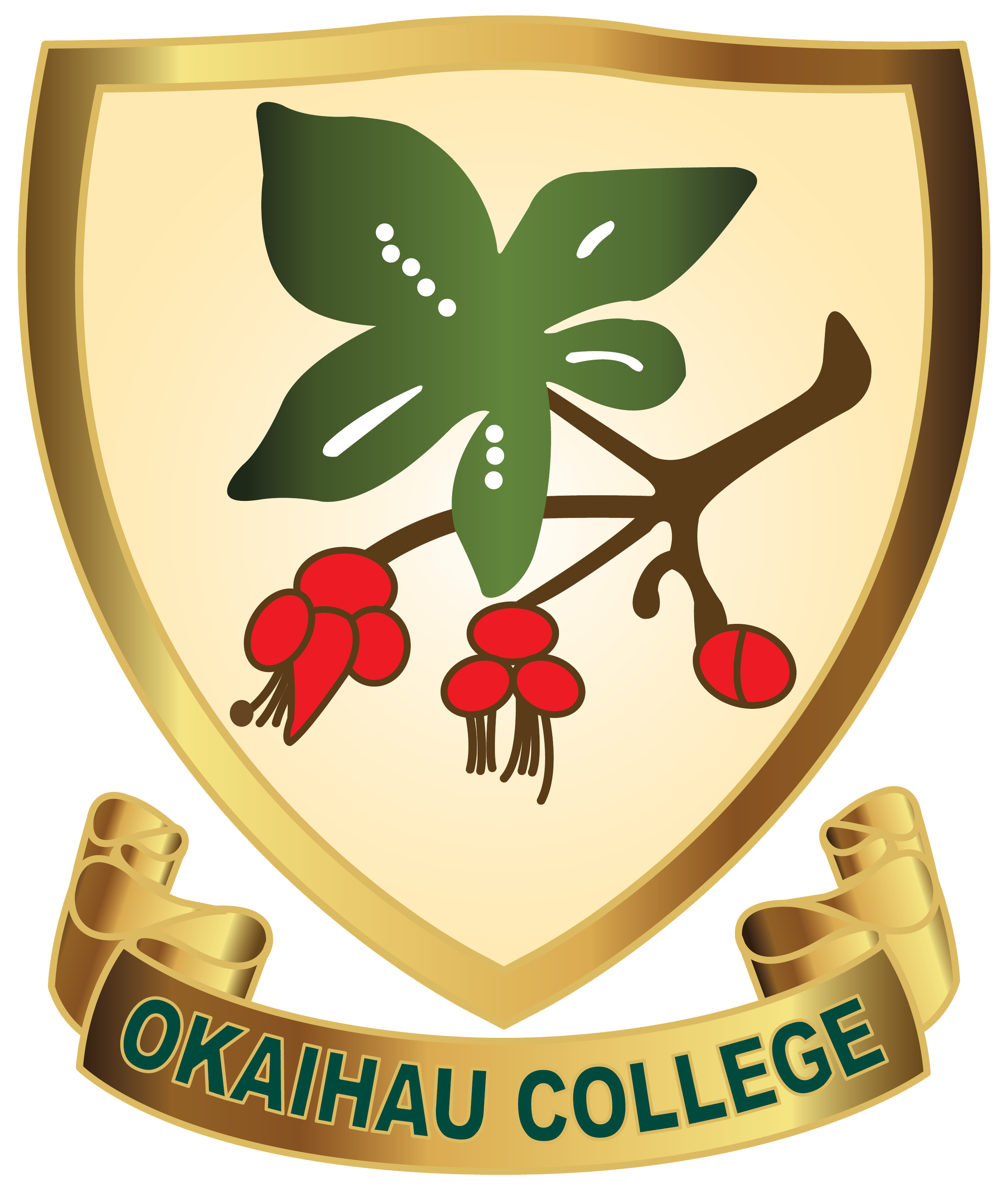 Okaihau College Logo